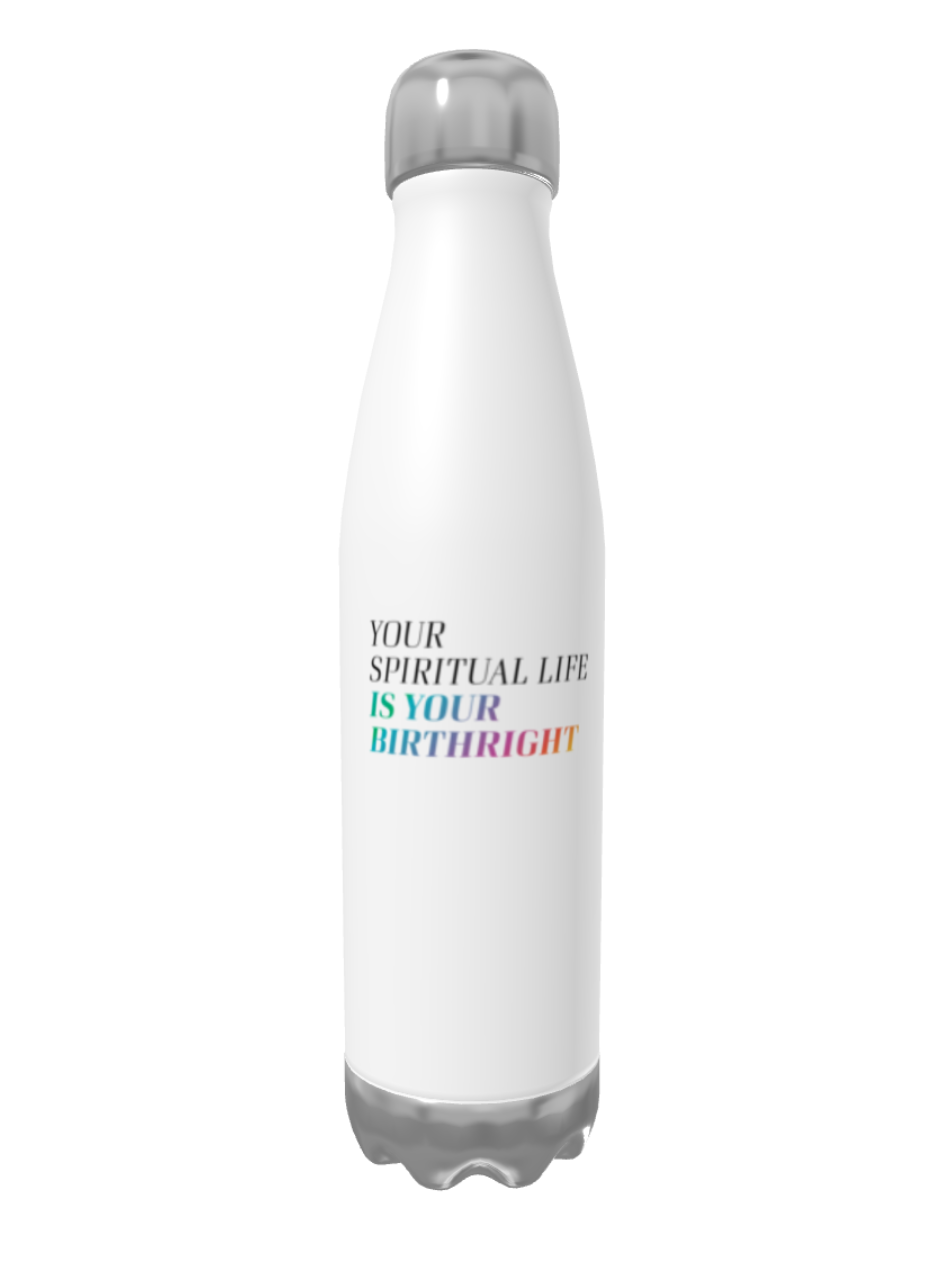 Bad Believer Stainless Steel Water Bottle