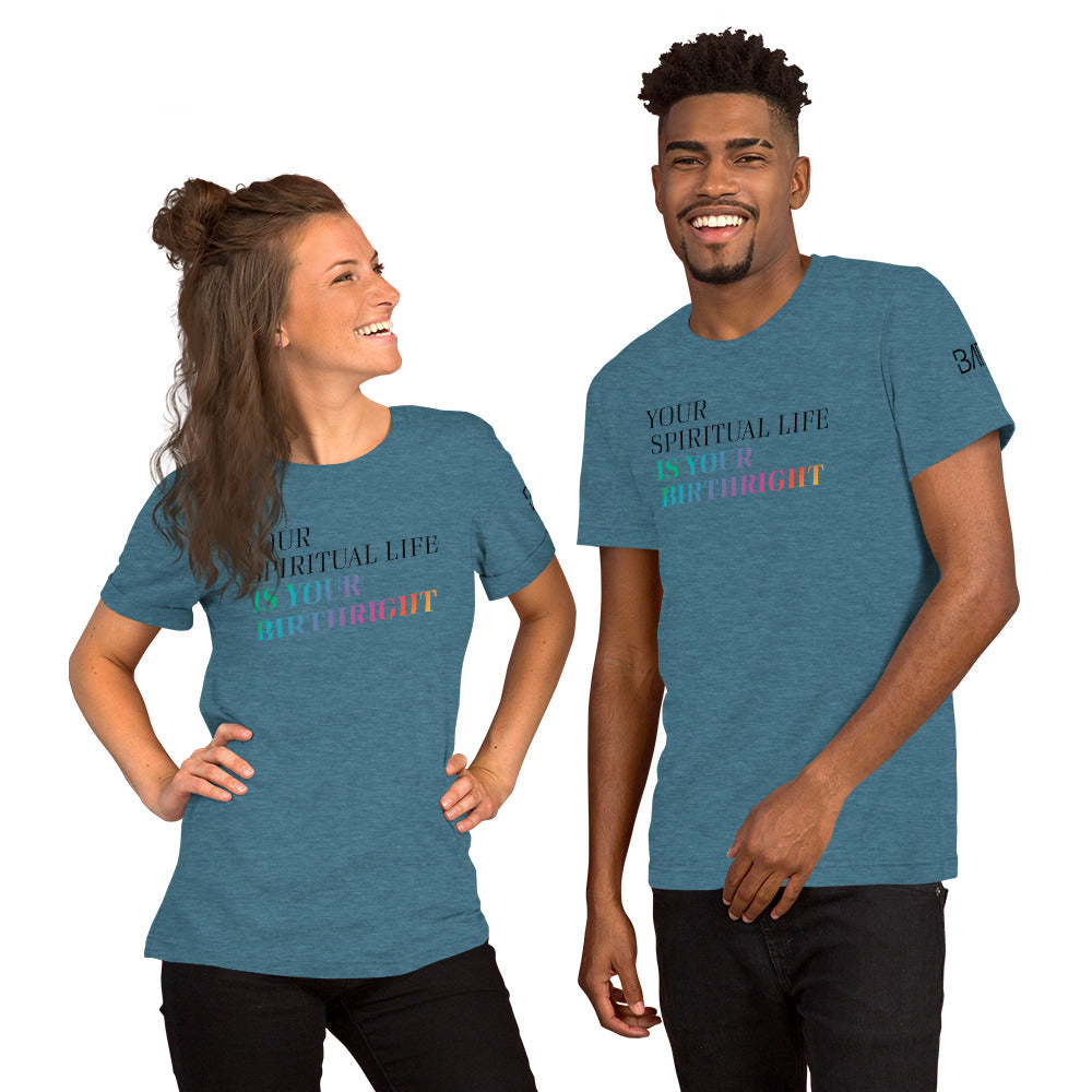 "Your Spiritual Life is Your Birthright" Unisex T-Shirt (Black Print)