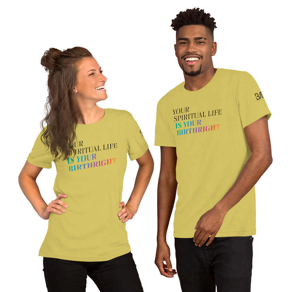 "Your Spiritual Life is Your Birthright" Unisex T-Shirt (Black Print)